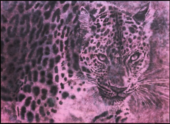 12_ruzovy_leopard