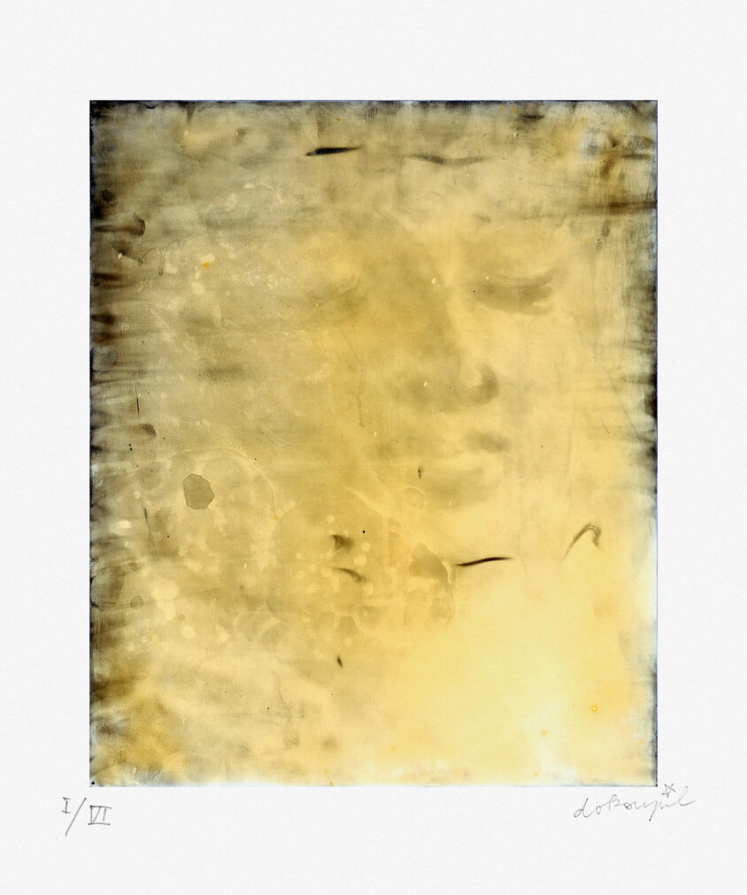webbuddhas02